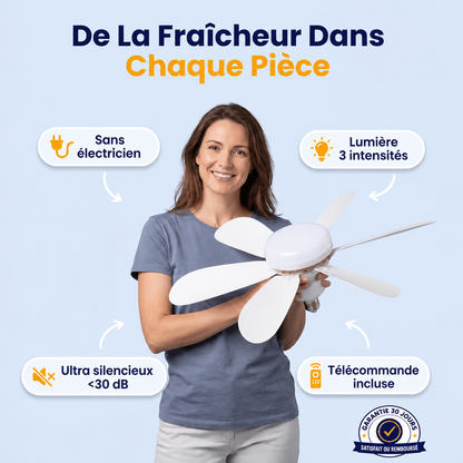 Ventilateur de plafond