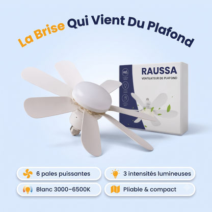 Ventilateur de plafond